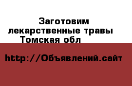 Заготовим лекарственные травы - Томская обл.  »    